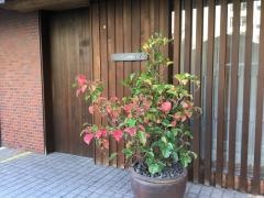 天冨良天孝