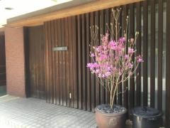 天冨良天孝