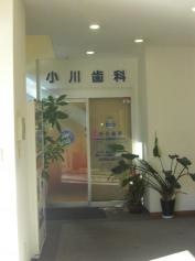 小川歯科