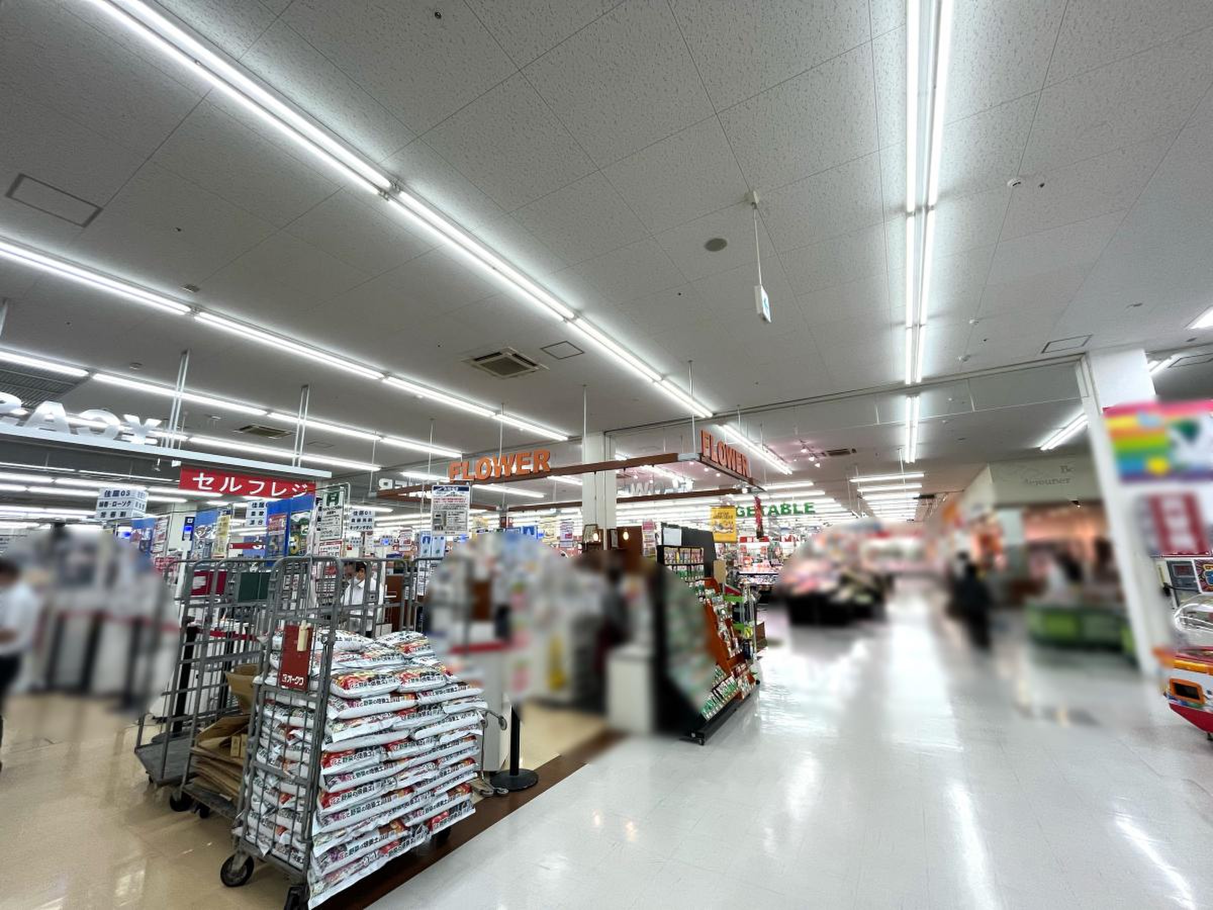 スーパー センター オークワ 美濃 インター 店