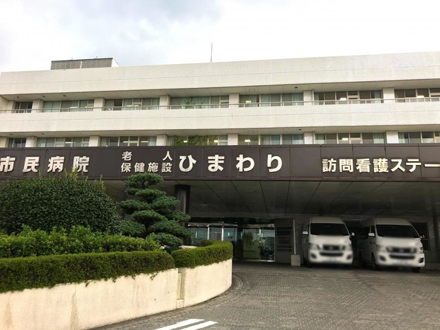 ひまわり