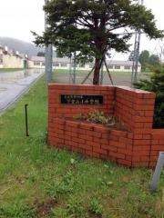 下金山小学校
