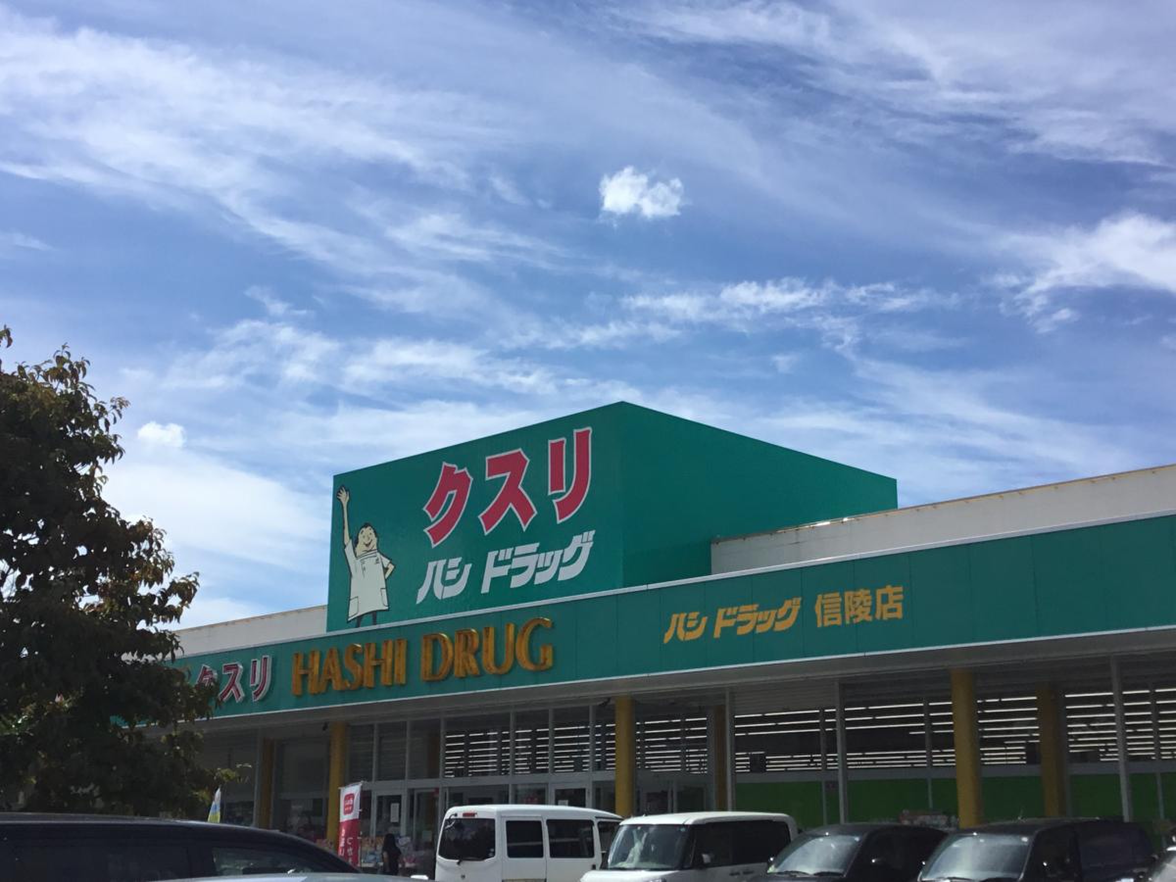 ハシ ドラッグ 信 陵 店