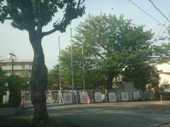 桜台保育園