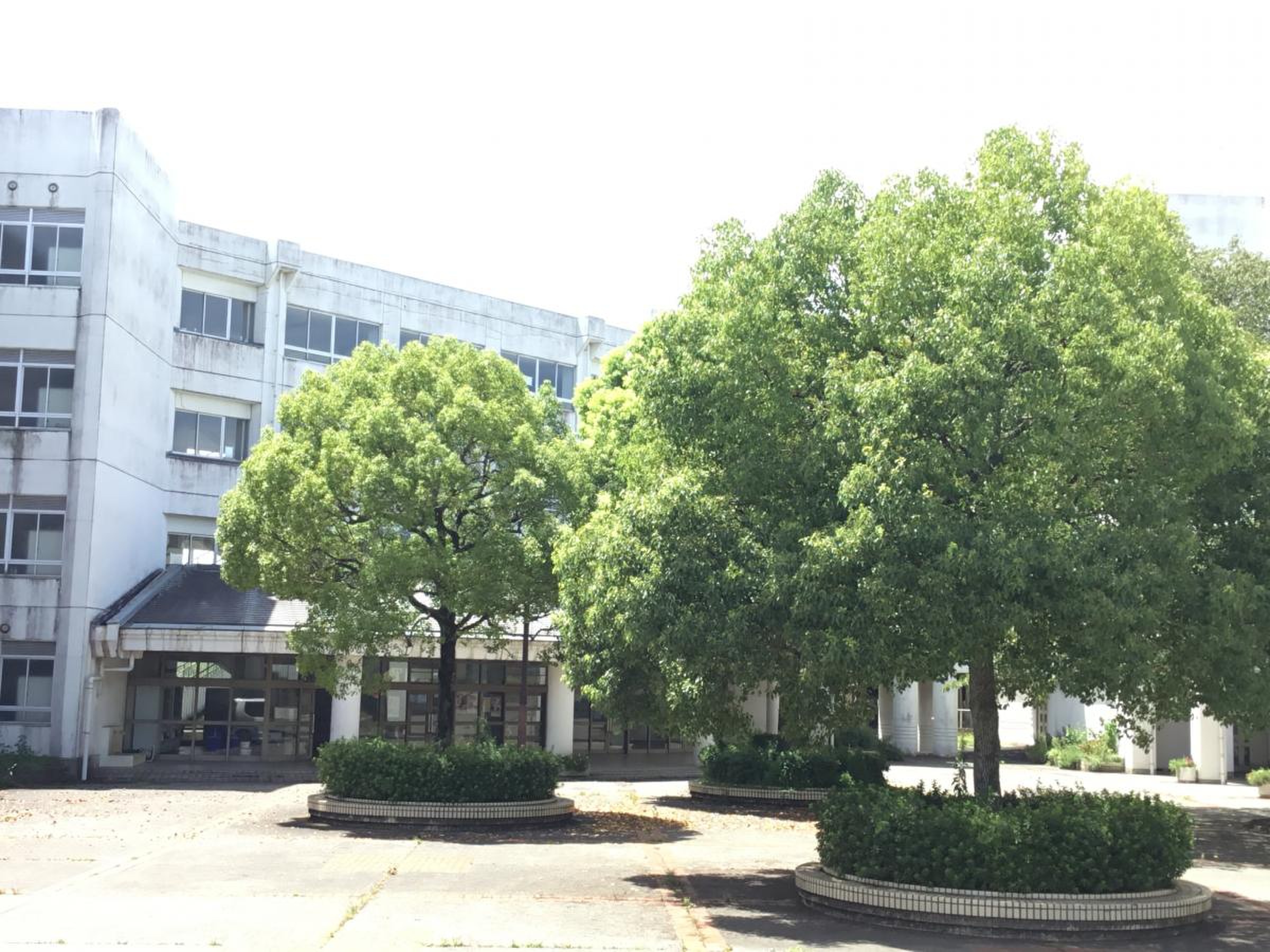 神奈川 県立 相模 田 名 高等 学校
