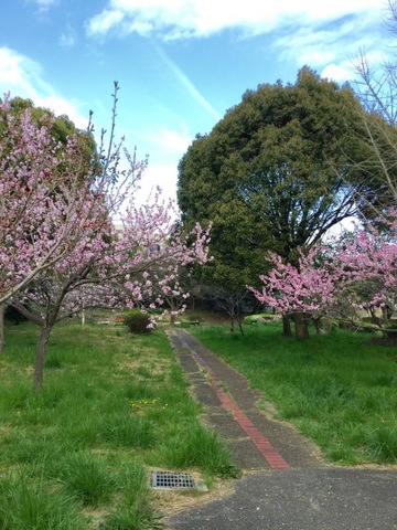 施設写真3