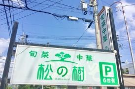 松の樹