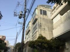 泊ヒルズ歯科