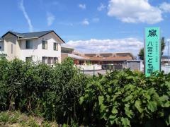 八宮こども園