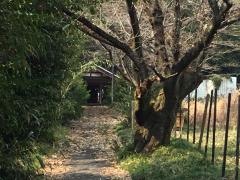 御嶽神社