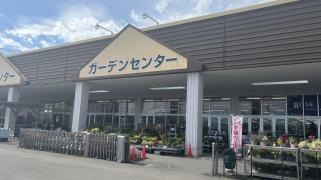 ＤＣＭ　東雁来店