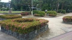 中央公園