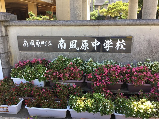 投稿写真3