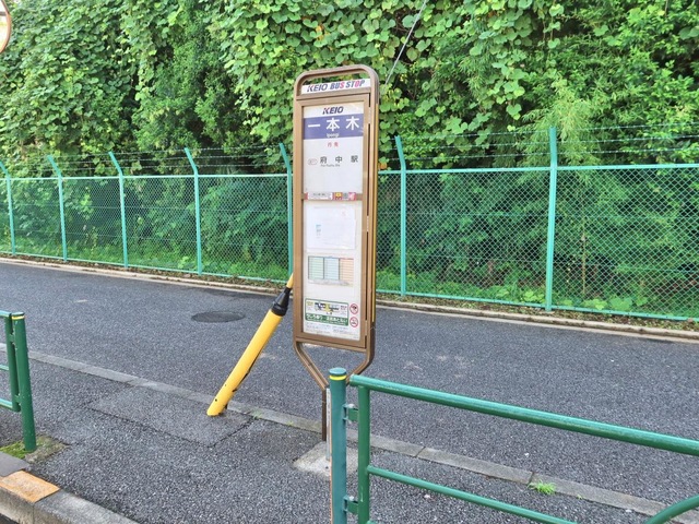投稿写真2