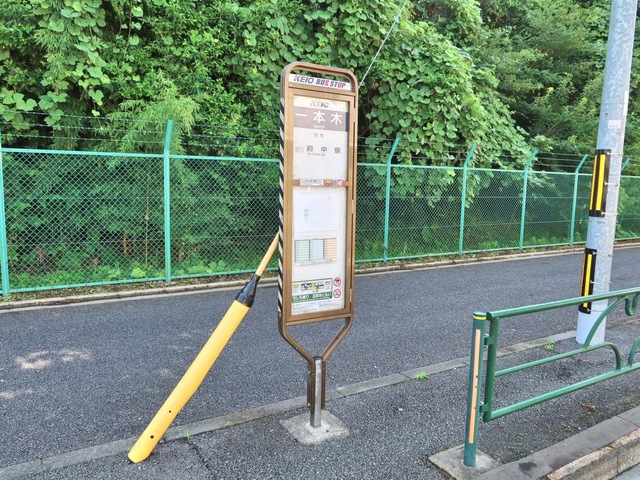 投稿写真1