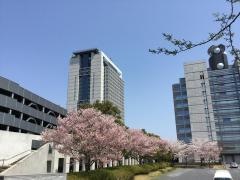 茨城県庁