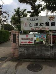 白梅幼稚園