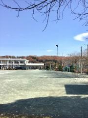 井ノ口小学校