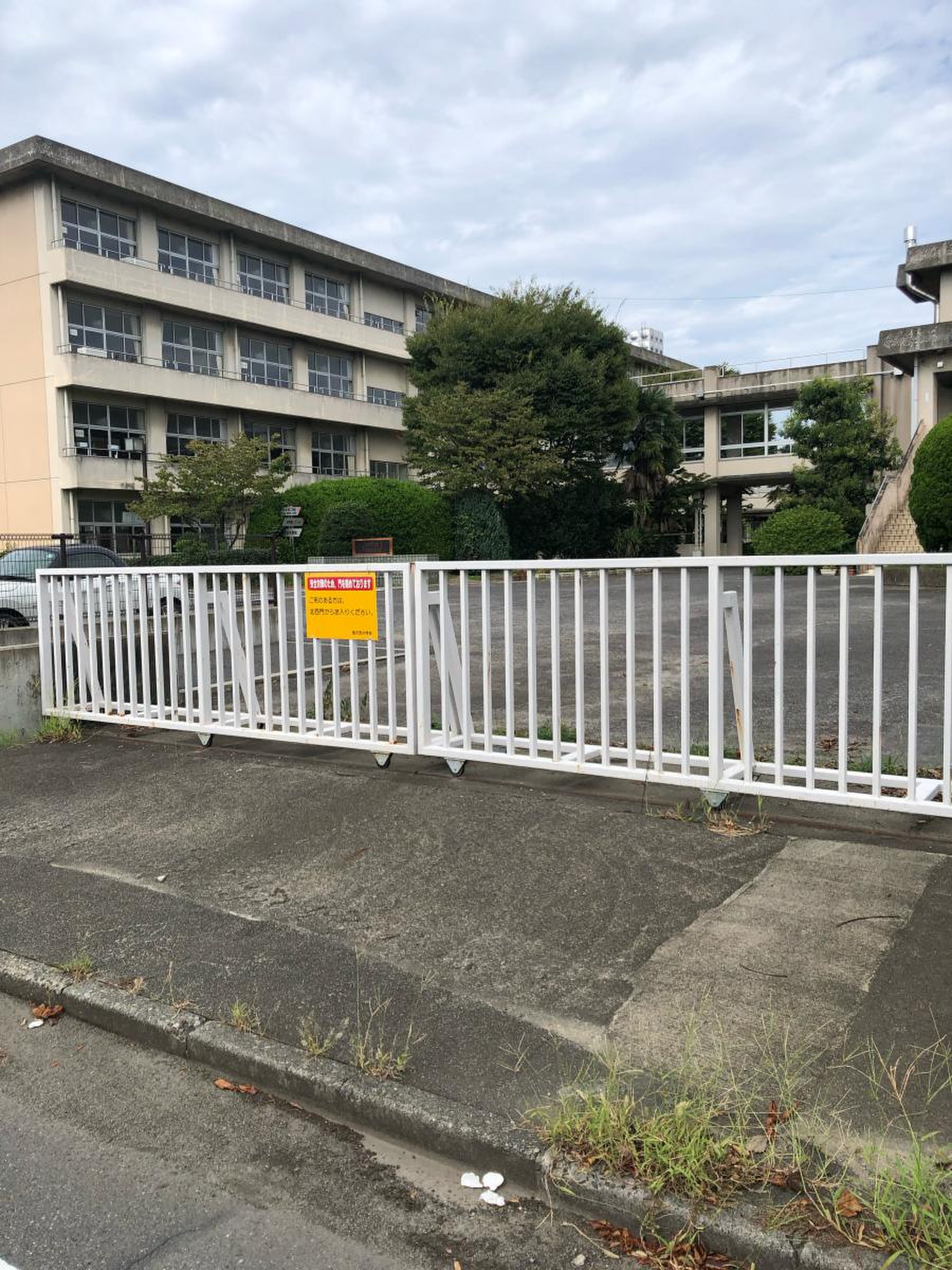 公の場での発言・インタビュー報道記録