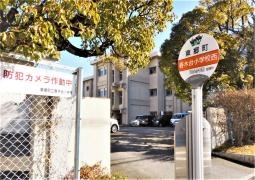 春木台小学校