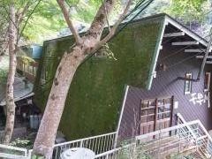 川魚専門レストラン千早川