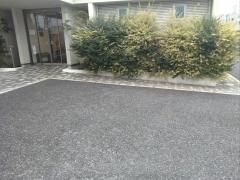 はせがわクリニック