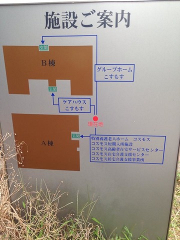 コスモス