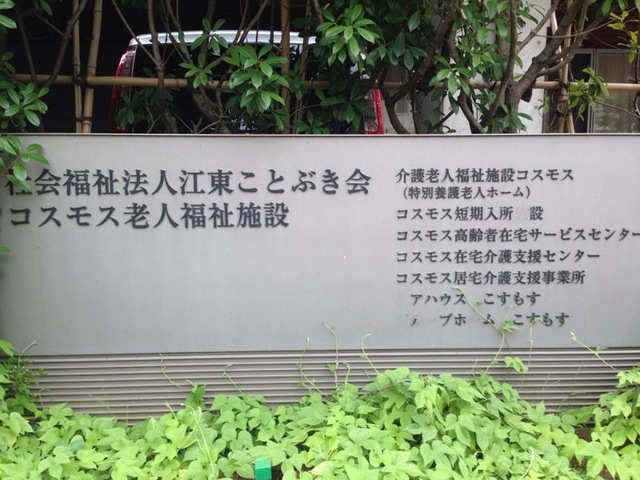 コスモス