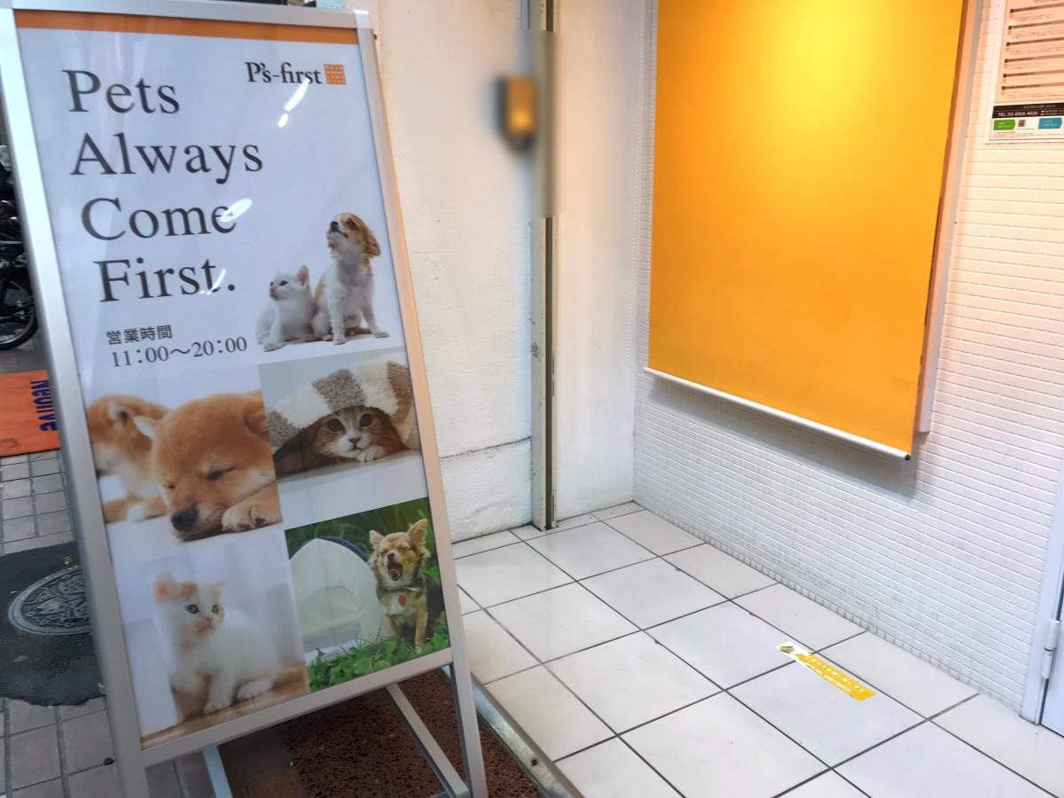 エントランス周り