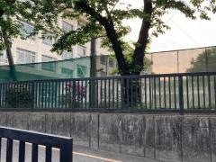 新林小学校