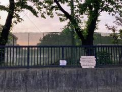 新林小学校