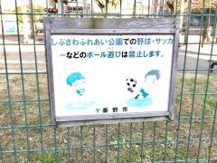 しぶさわふれあい公園