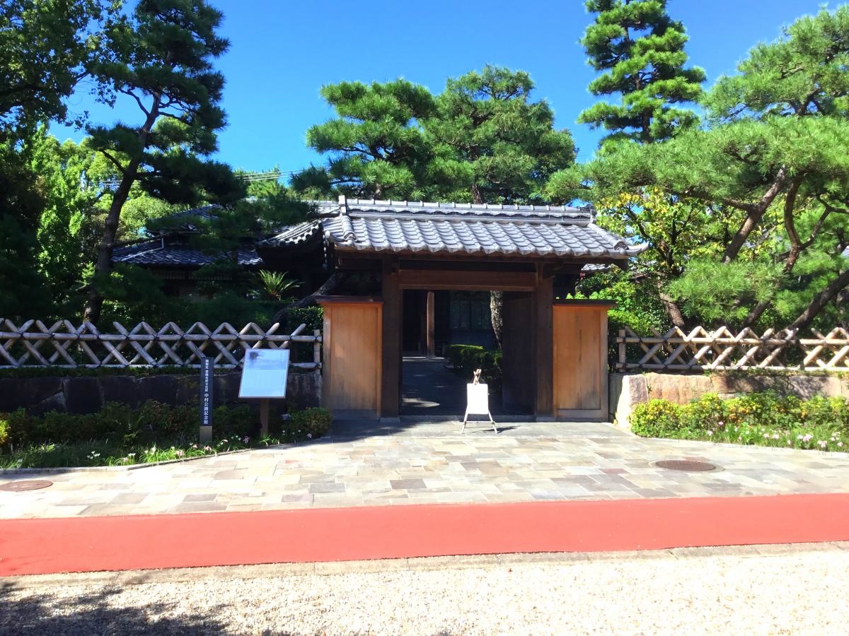 中村公園の景色です