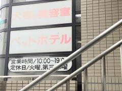 ビッキーハウス