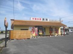 黄琳