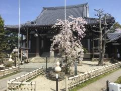 常泉寺