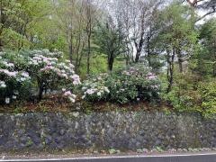 おやどみゆき別館