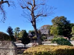 興生寺