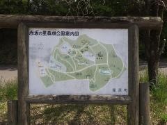 赤坂の里森林公園