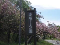 赤坂の里森林公園