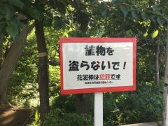 久末緑地