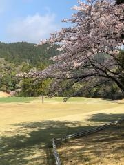 豊岡国際カントリークラブ