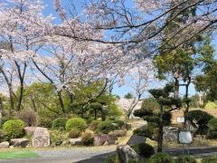 豊岡国際カントリークラブ