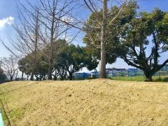 平尾町栄緑地
