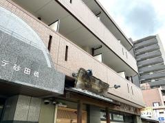 いね鮨