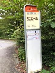 「紅葉ケ丘」バス停留所