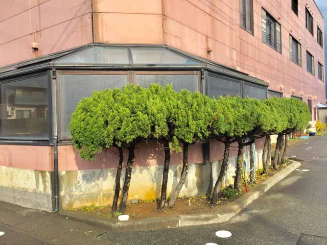 ケアポートよしだ