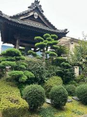 徳応寺