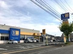 薬王堂江刺店