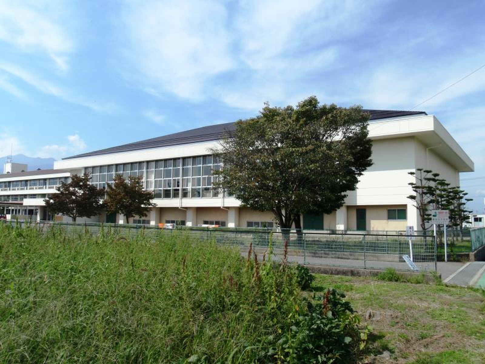 公の場での発言・インタビュー報道記録